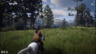 Red Dead Redemption 2 Horse Hunting No Dead eye [upl. by Anigriv558]