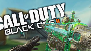 BO2 AIMBOT  Black Ops 2 in 2021 [upl. by Aprile163]