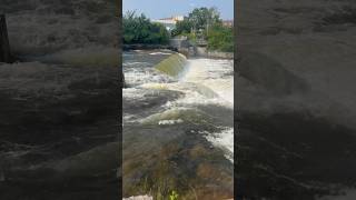 Falls🇨🇦 Fenelon Falls  canada travel falls [upl. by Sheelagh]