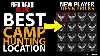 Best Camp Hunting Location in Red Dead Online New Player Tips amp Tricks [upl. by Cherey]