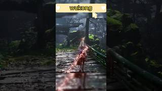 Wukong combat wukong vairalvideo [upl. by Easlehc]