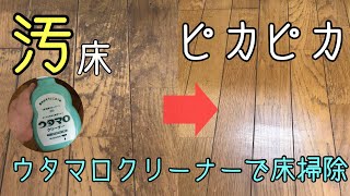 【フローリングの掃除】床の汚れを落とす方法！ウタマロクリーナーで床掃除してみた…【床掃除•黒ずみ•カビ取り】 [upl. by Anastos]