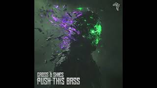 Cross amp Skies  Push The Bass Extended Mix [upl. by Dragde263]