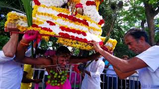 MAURITIUSCAVADEE CAVADEE CELEBRATING AT GOODLANDS [upl. by Llehcam50]