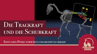 Tragkraft und Schubkraft  Reite Dein Pferd Vorwärts und richte es gerade [upl. by Eesdnil]