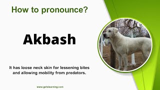 How to pronounce Akbash Correctly in English [upl. by Stanwin72]