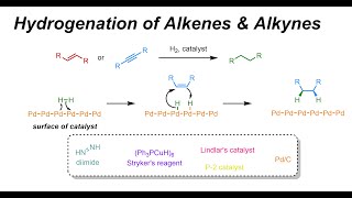 Hydrogenation of Alkenes amp Alkynes IOC 32 [upl. by Anuaek]