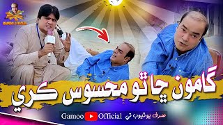 Gamoo Sha Tho Mahesoos Kare  Asif Pahore Gamoo  Sohrab Soomro  Gamoo New Video  2024 [upl. by Dnumsed]