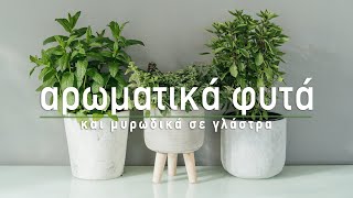 🌿 Αρωματικά φυτά και μυρωδικά σε γλάστρα  Τα Μυστικά του Κήπου [upl. by Marras]