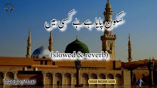 Sukoon Paya  سکون پایا  New Naat  SlowedReverb  Shoaib Masood  Ghulam Mustfa  Syed Hasan Ulah [upl. by Noiroc]