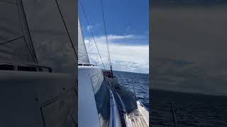 Upwind sailing on our Buizen 48⛵️ solomonislands [upl. by Mandi]