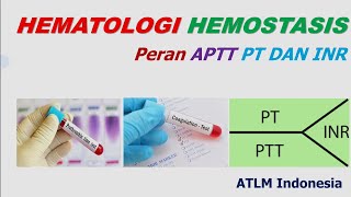 Peran APTT PT dan INR Dalam Hemostasis  Pemantauan terapi obat antikoagulan Vitamin K Hemofilia [upl. by Tobit]