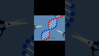 Gene Editing Revolution CRISPRs Amazing Potential geneediting shorts [upl. by Kahlil]