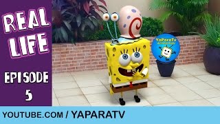 Feeding Gary  SpongeBob in real life 5 [upl. by Aneloj]