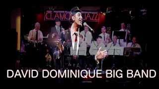 DAVID DOMINIQUE BIG BAND PLAY I´VE GOT YOU UNDER MY SKIN [upl. by Tatman673]