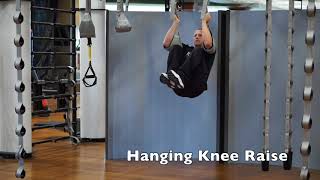 Hanging knee raise [upl. by Ahsitnauq]