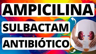 AMPICILINASULBACTAM ANTIBIÓTICO Mecanismo indicação contraindicação e reações [upl. by Lehacim]