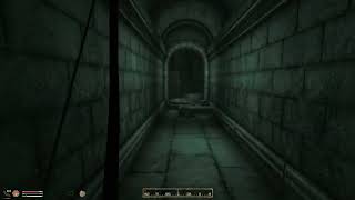 Yet More Oblivion to Fall AsleepCan I Beat EVERY Oblivion Questline Using ONLY Tutorial Gear Pt 5 [upl. by Eimaraj]