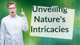 How Can Ecotone Ecoline and Edge Effect Impact Our Environment [upl. by Irrol]