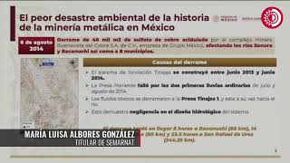 Luisa Albores detalla quotel peor desastre ambiental de minería metálica en Méxicoquot ocurrido en 2014 [upl. by Eitsyrc]