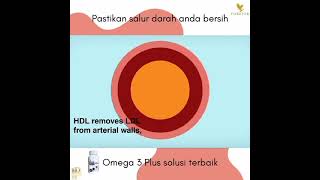 Omega3  omega9 terbaik [upl. by Enirolf]