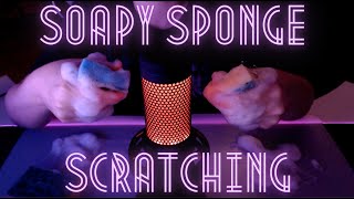 Soapy Sponge ASMR 🧼🧽 Scratching Ripping amp Squeezing  but mostly scratching No Talking [upl. by Laurella]