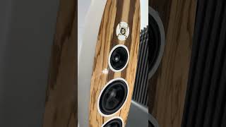 Fono acustica hifi music hifiaudio loudspeaker bass homeaudio audiophile [upl. by Eirrab]