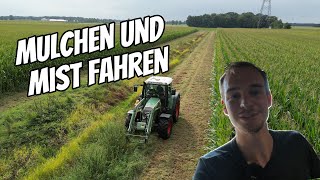 vlog144 Ein Tag auf dem Hof Mulchen und Mistfahren mit Fendt [upl. by Ecnar]