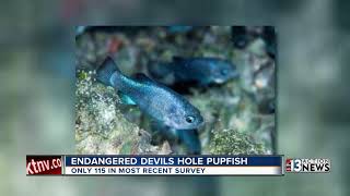 Two plead guilty in Devils Hole vandalism [upl. by Iluj327]