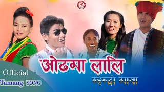 NEW TAMANG SELO OTHAMA LALI MHEDO MAYA SONG 20172018 [upl. by Auhsuj]