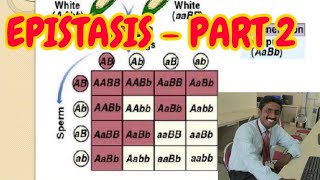 EPISTASIS PART 2  TAMIL EXPLANATION [upl. by Kinsman]