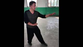 Song Style Xingyi Heng Quan 宋氏形意横拳 [upl. by Ignatzia]