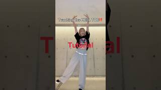 Dance Moves Tutorial  Heel Toe  Hip Hop Style [upl. by Inalaehak954]