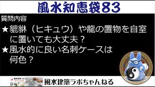 風水知恵袋８３ ★貔貅（ヒキュウ）や龍の置物を自室に置いても大丈夫？ ★風水的に良い名刺ケースは何色？ [upl. by Weywadt130]