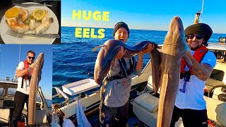 MONSTER CONGER EELS  Shipwreck Fishing in 200ft of water  Catch Clean Cook [upl. by Zetnahs143]