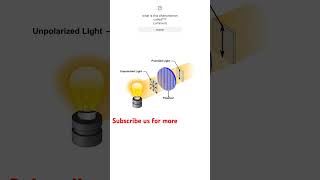 Polarization of light class12th physics maths physics shorts [upl. by Buford]