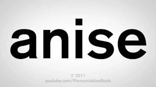 How To Pronounce Anise [upl. by Reisch]