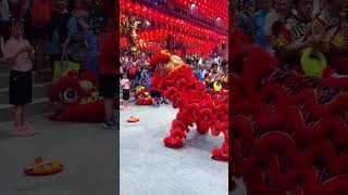 Red Lion Dance [upl. by Klehm]