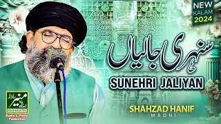 Kia Karon K Yaad Aati Hai Sunehri Jaliyan  Emotional Naat 2024  Shahzad Hanif Madni Naats [upl. by Deden]