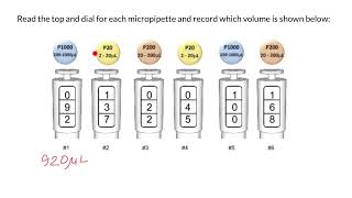 How to read and set micropipette [upl. by Ursi855]