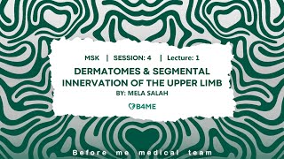 MSK S4  Dermatomes amp Segmental Innervation Of The Upper Limb [upl. by Johst]