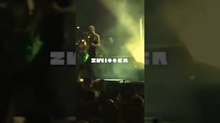 Смысл Zwitter Rammstein за 35 секунд rammstein смысл performance [upl. by Ahkihs941]