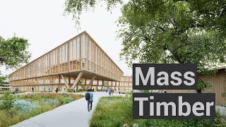 An Introduction to Mass Timber [upl. by Hun]