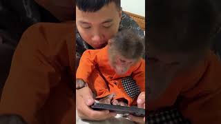 CUTIS was surprised to see the phone With dadcutis monkey animals shortsvideo [upl. by Casi]