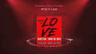 Danceteria x Tommy The Greek  What Is Love [upl. by Tabbitha330]