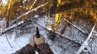 rabbit hunting in wisconsin with a browning buckmark 22 pistol [upl. by Suilmann]