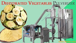 Vegetable Powder Making Machine for milling dehydrated vegetable into flour┃Impact Pulverizer┃ [upl. by Fleck]