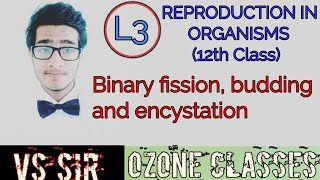 L3 Budding Encystation amp Binary fission Reproduction in Organisms [upl. by Cruickshank]