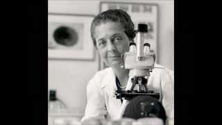 Famous Female Scientists  14 Greatest Female Scientists in History [upl. by Rufus]