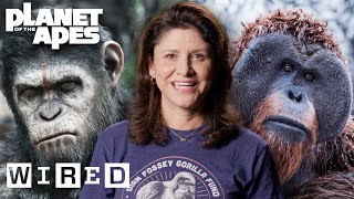 Every Ape in Planet of the Apes Explained  WIRED [upl. by Uis]